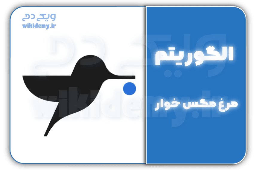 الگوریتم مرغ مگس خوار: بررسی تاثیرات Hummingbird در سئو