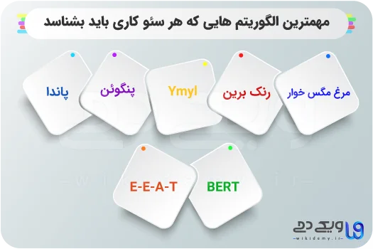 اینفوگرافی الگوریتم های گوگل