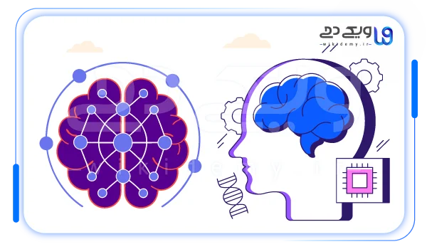مقایسه الگوریتم تطبیق عصبی و رنک برین