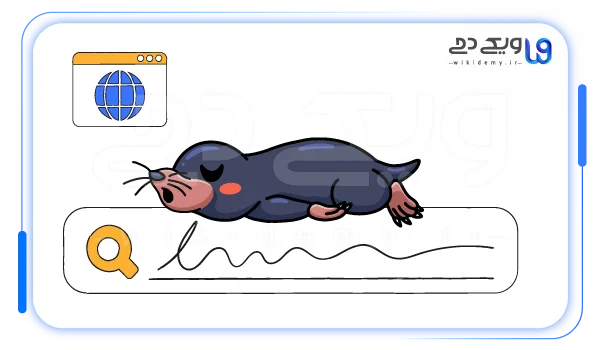 چطور از فیلتر الگوریتم موش کور خارج شویم؟