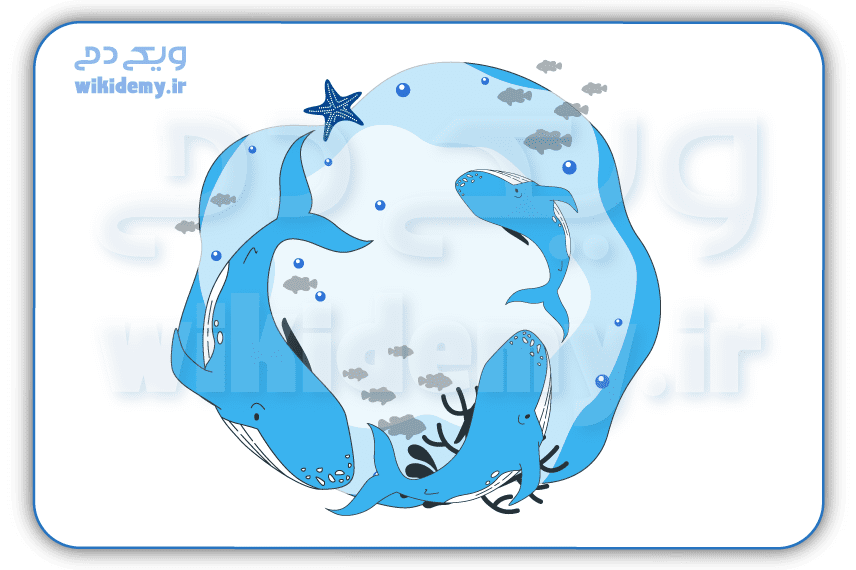 کنیبالیزیشن چیست؟ راه های تشخیص و رفع آن