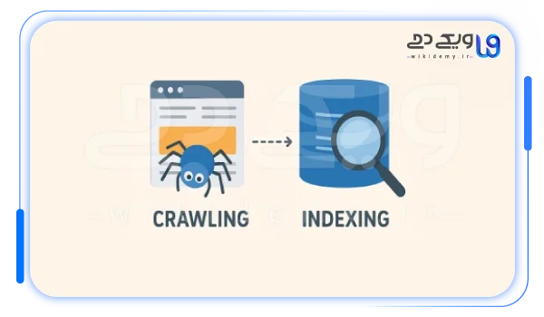 برسی و رفع خطاهای indexو crawl در سرچ کنسول